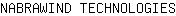 N***S