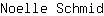 N***d