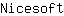 N***t