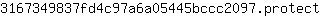 3***t