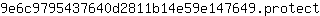 9***t