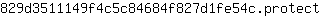 8***t