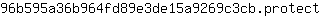 9***t