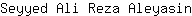 S***n