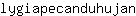 l***n