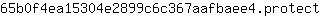 6***t