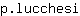 p***i