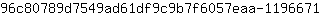 9***1