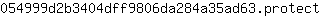 0***t