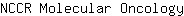 N***y