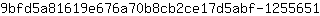 9***1