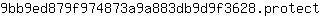 9***t
