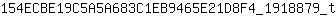 1***t