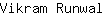V***l