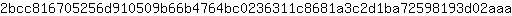 2***a
