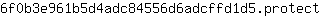 6***t