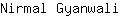 N***i