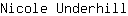 N***l