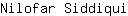 N***i