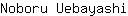 N***i