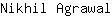 N***l