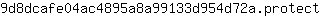 9***t