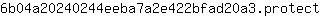 6***t