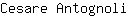 C***i