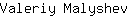 V***v
