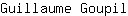 G***l