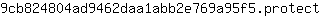9***t