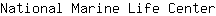 N***r