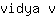 v***v