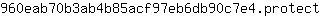 9***t