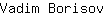 V***v
