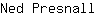 N***l