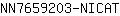 N***T