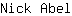 N***l