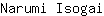 N***i