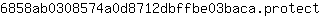 6***t