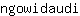 n***i