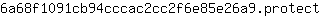 6***t