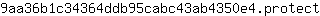 9***t