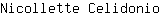 N***o