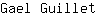 G***t