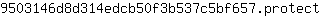 9***t