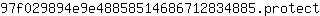 9***t