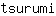 t***i