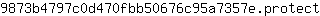 9***t