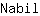 N***l